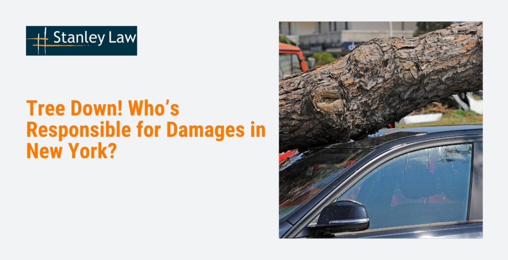 Fallen Tree Damages