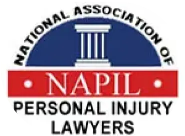 Napil-Logo