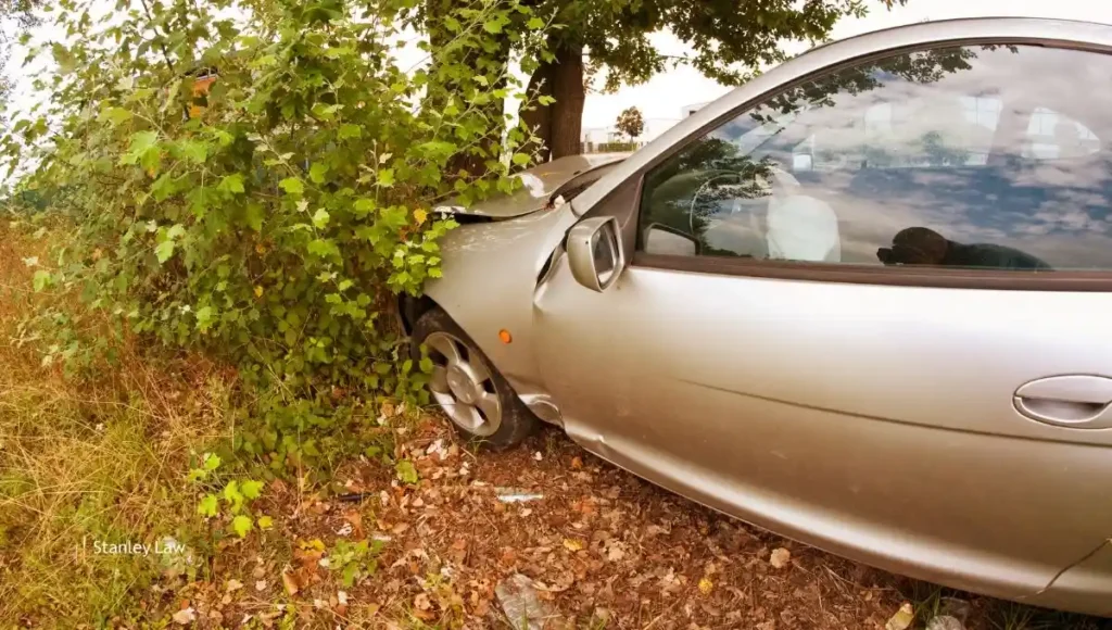 Jacqueline Girvan Dies After Car Hits Tree