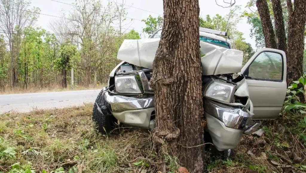 car crashes into tree