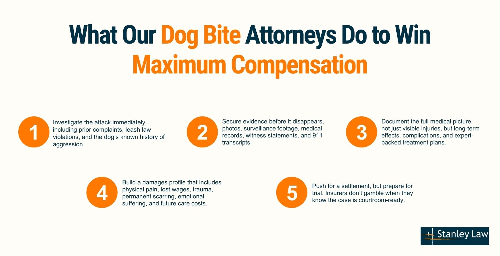 Our New York Dog Bite Lawyer Fight to Win Maximum Compensation