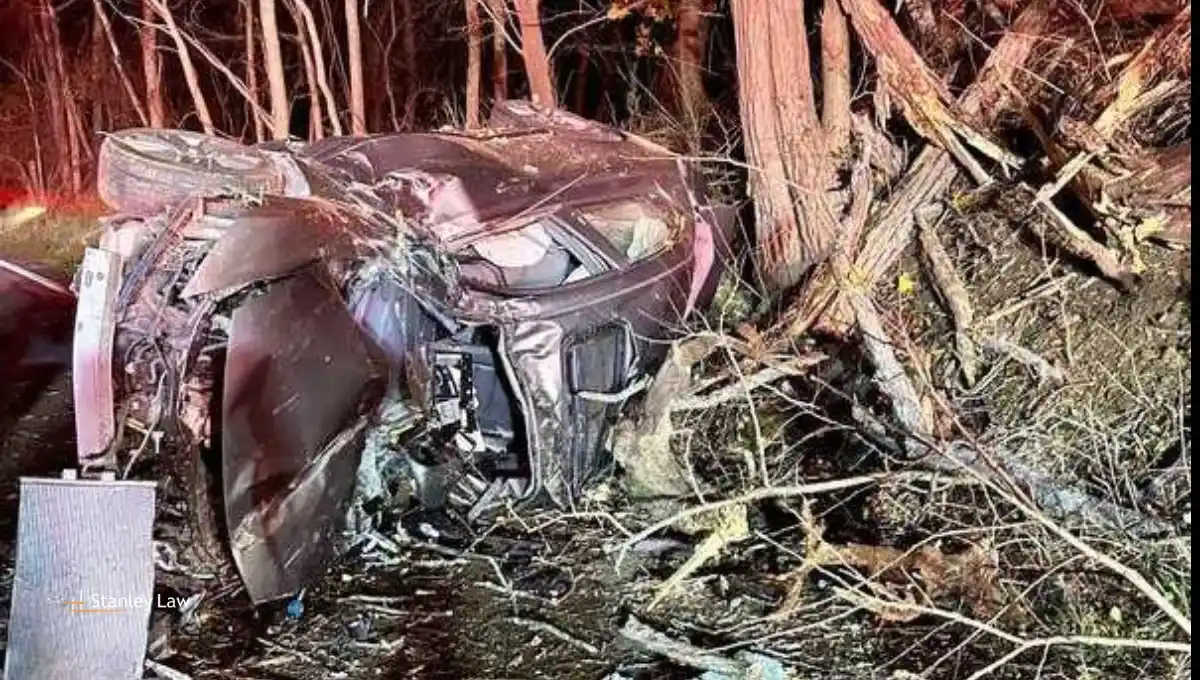 Driver Escapes Mangled Car Crash