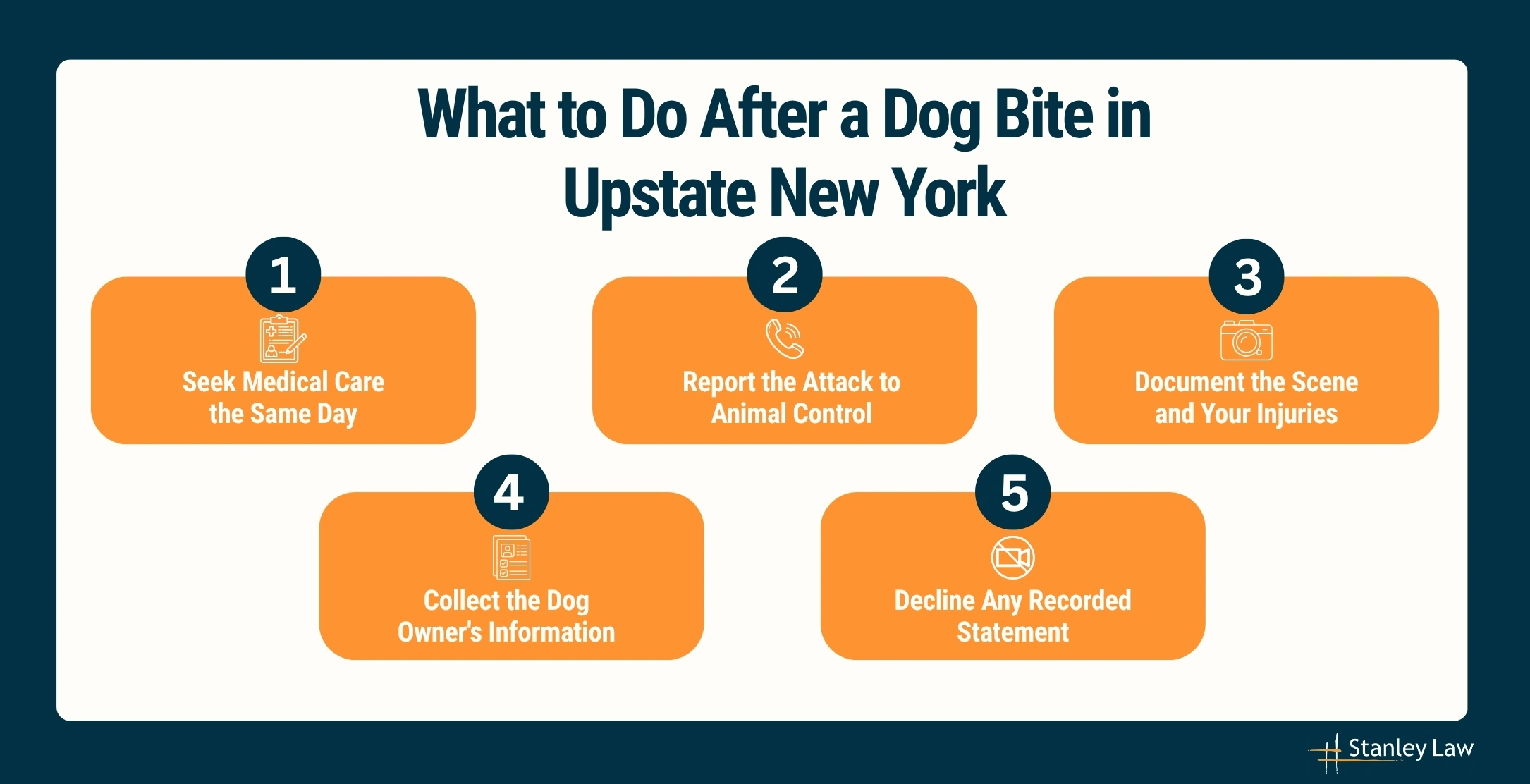 Things to Do After a Dog Bite in Upstate New York